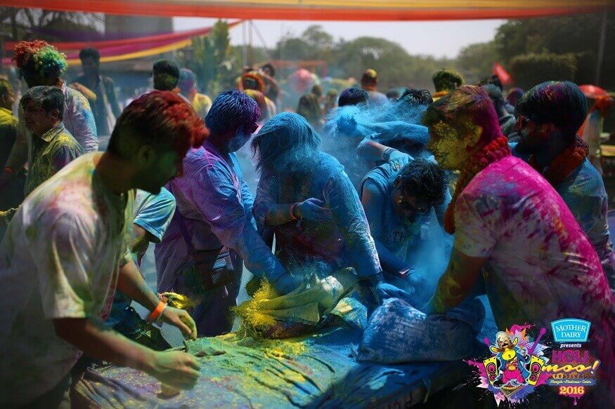 holi cow festival youtube