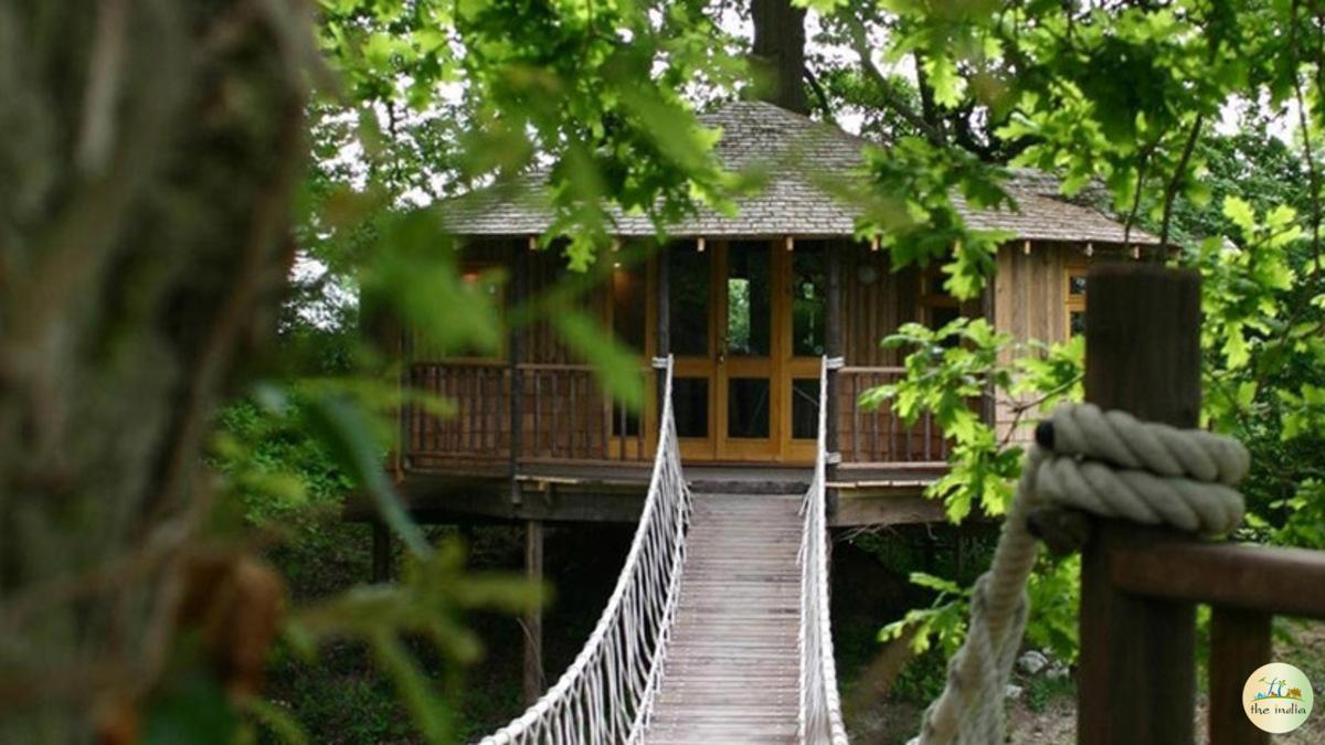 Book Tree House in Kerala at Cheapest Price to Connect with Nature