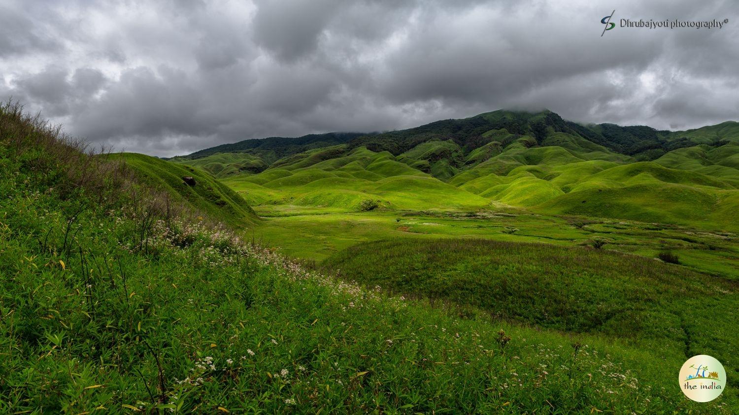 Dzukou Valley Kohima