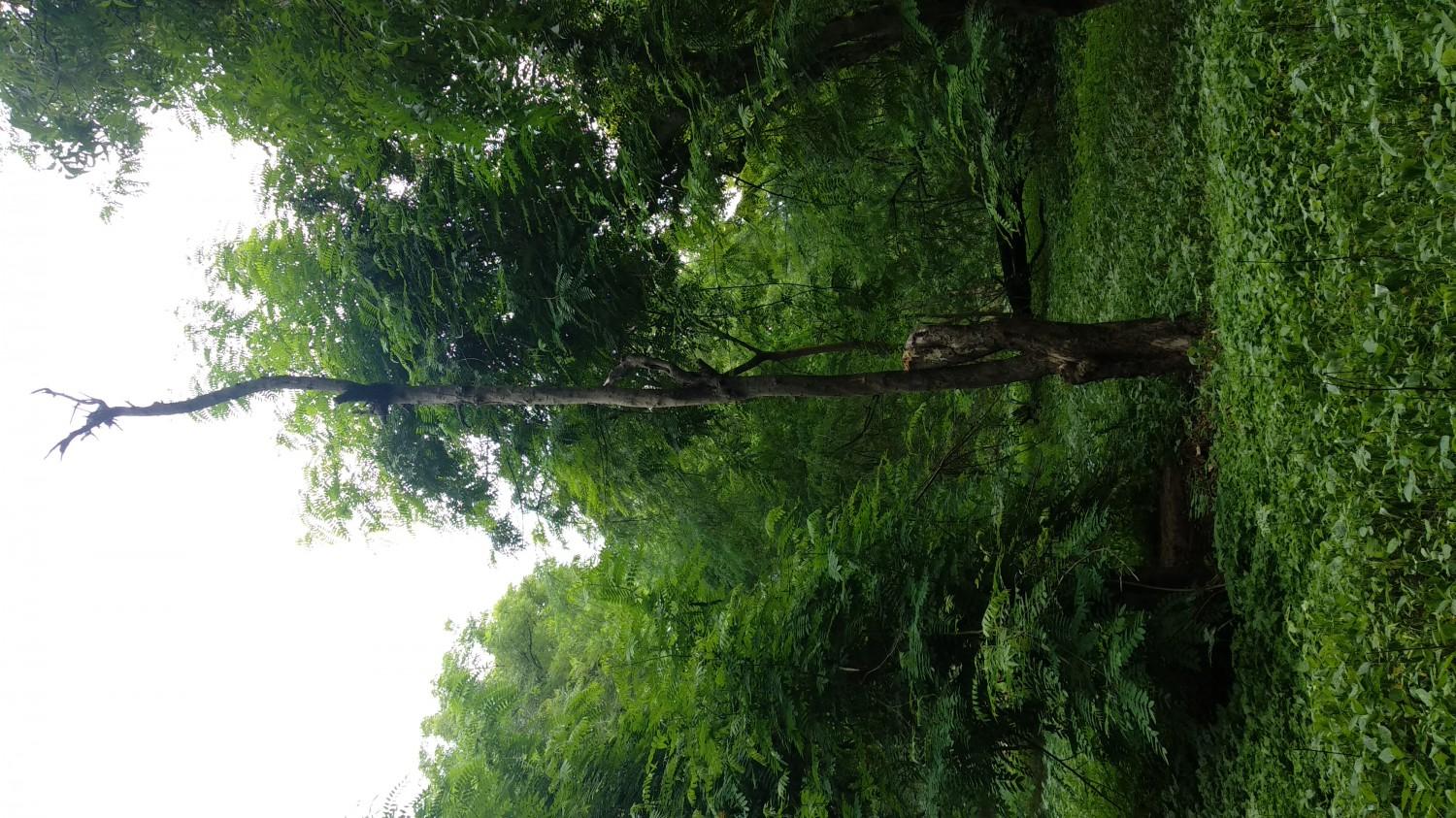Indroda Nature Park Ahmedabad