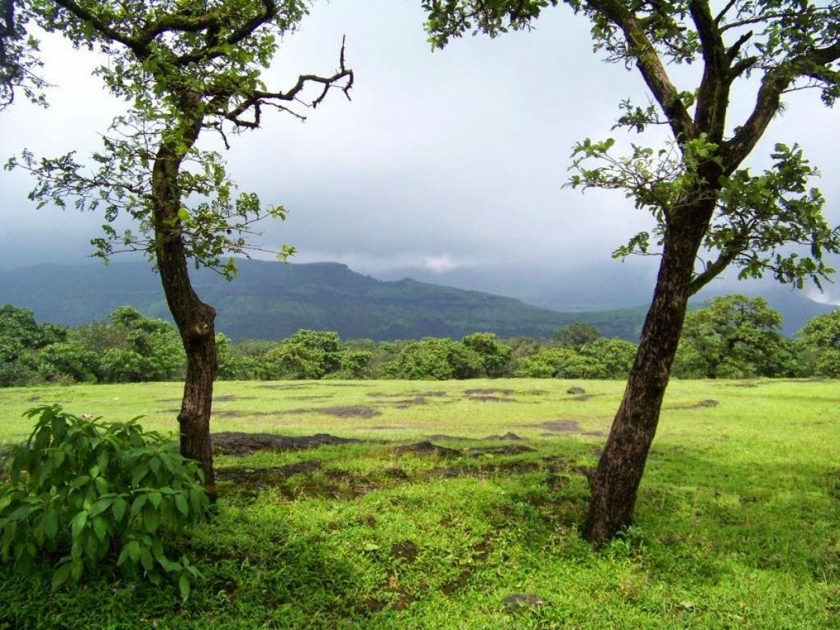 Kalsubai Peak Indore