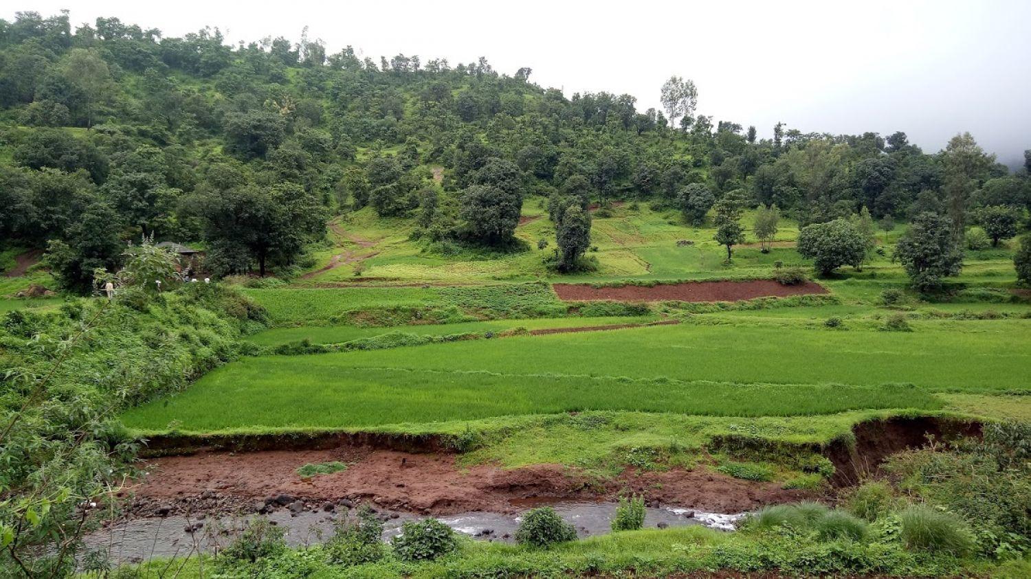 Kalsubai Peak Indore