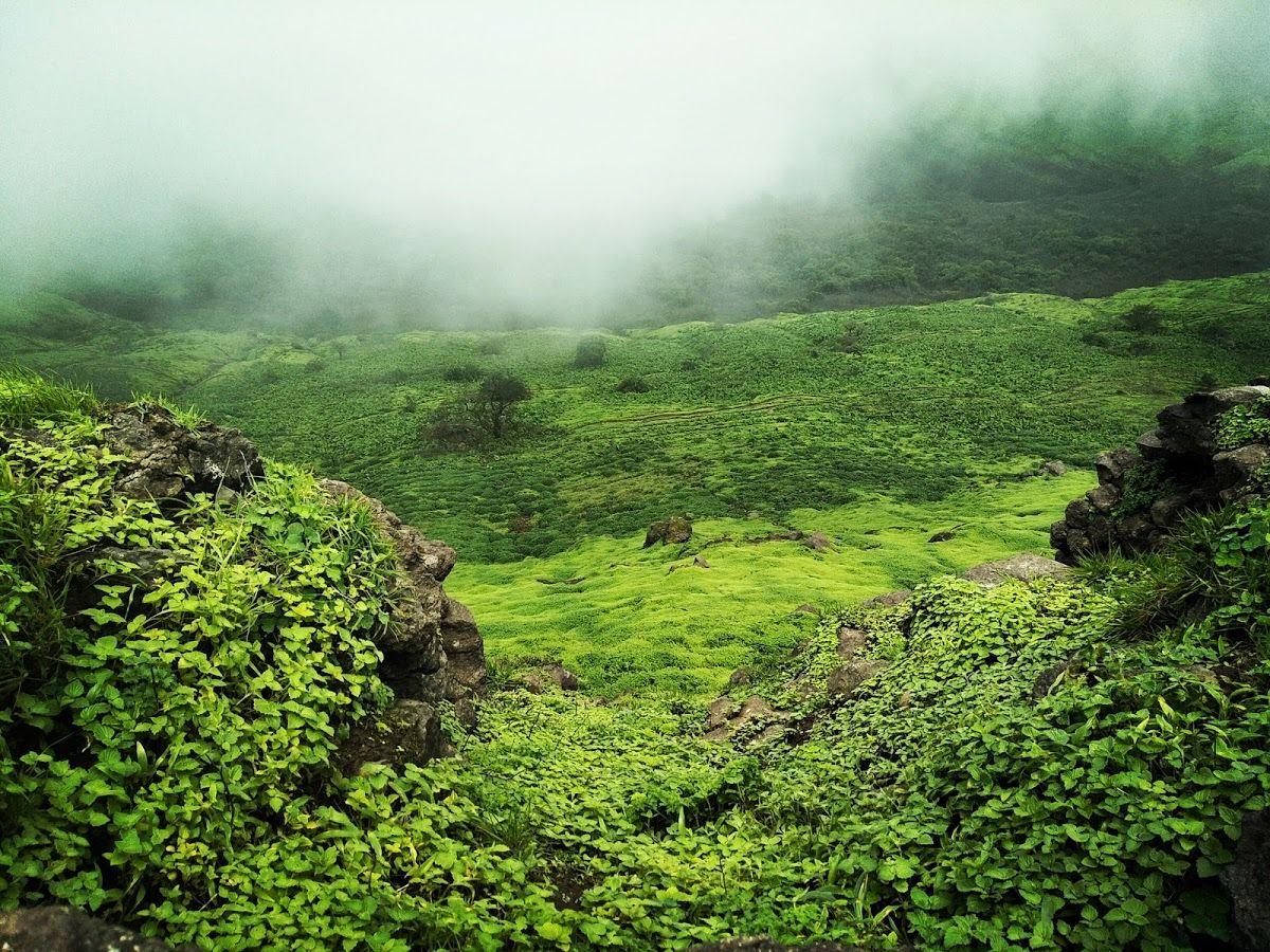 Kalsubai Peak Indore