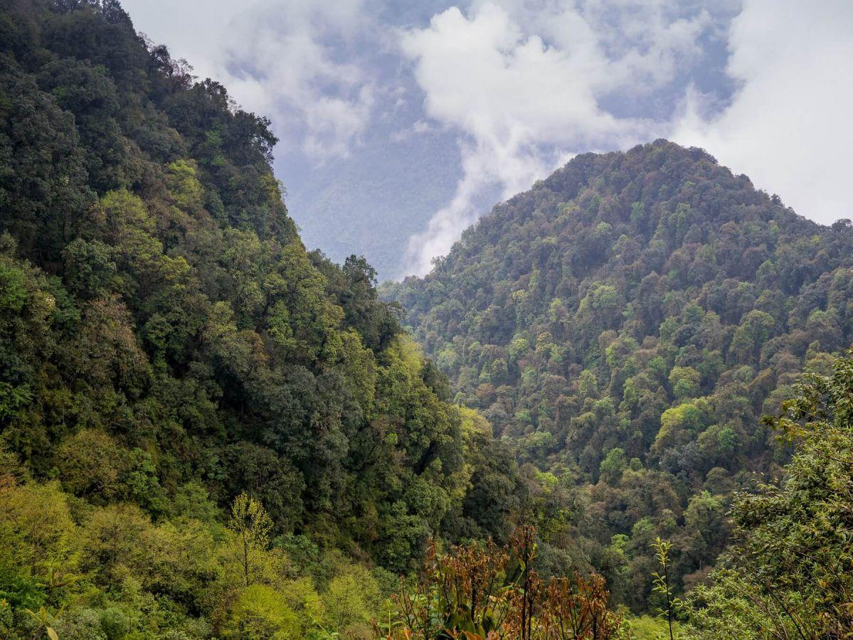 Mishmi Hills Upper Dibang Valley