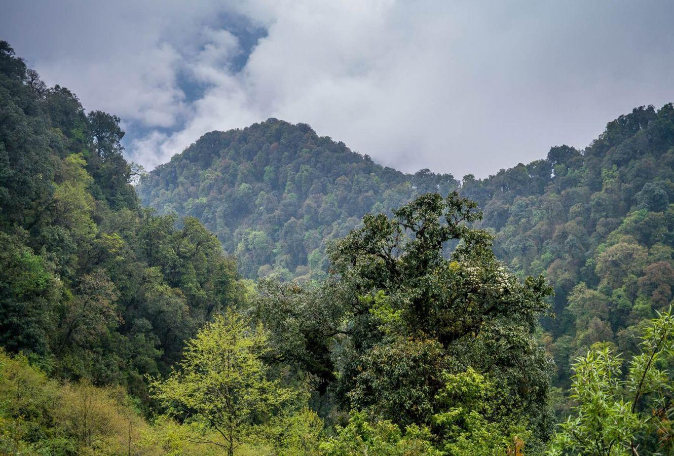 Mishmi Hills Upper Dibang Valley