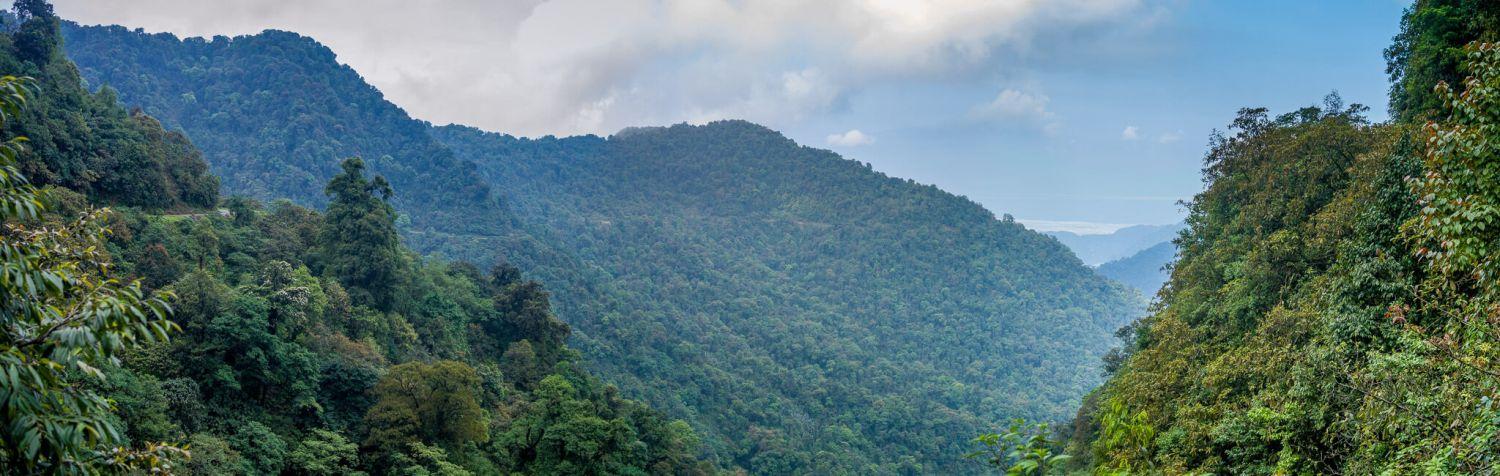 Mishmi Hills Upper Dibang Valley