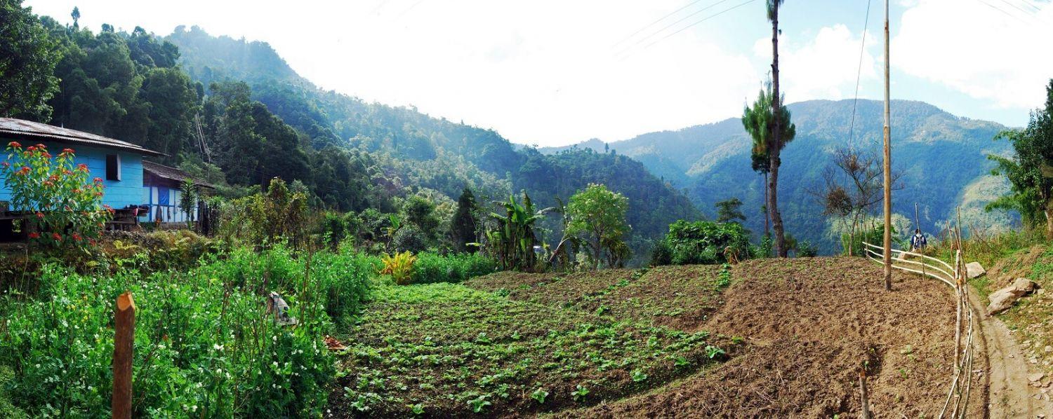 Neora Valley National Park Darjeeling