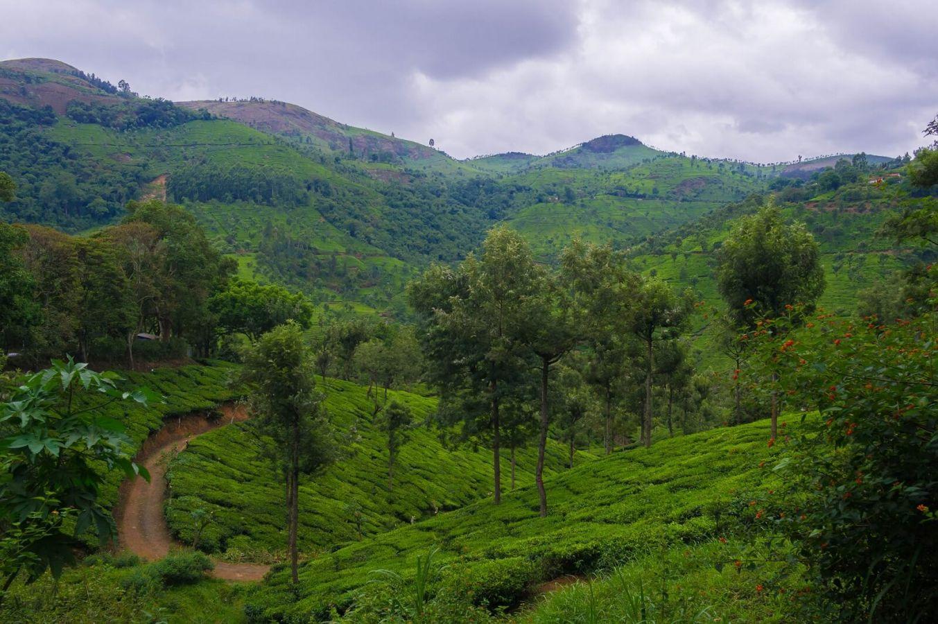 Coonoor Coimbatore