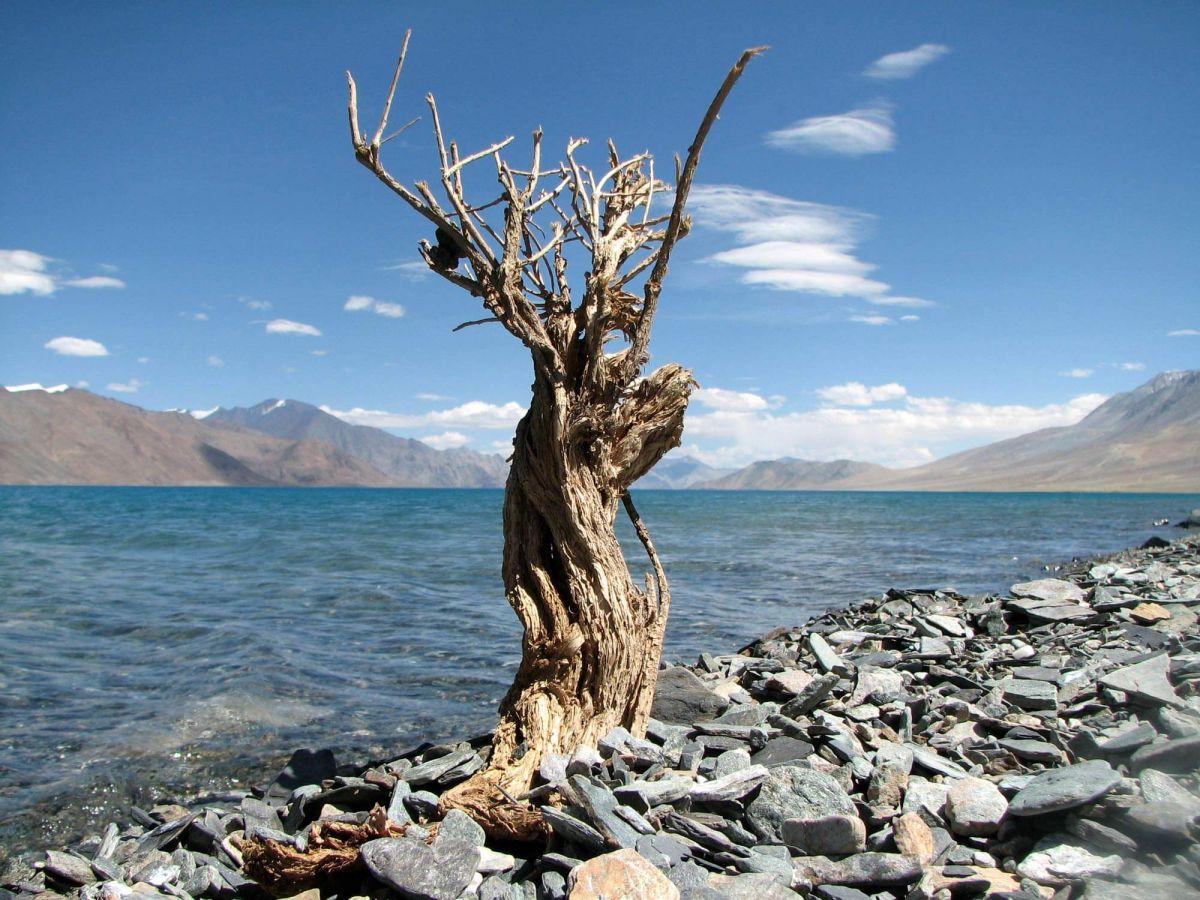 Pangong Tso (Pangong Lake) Leh