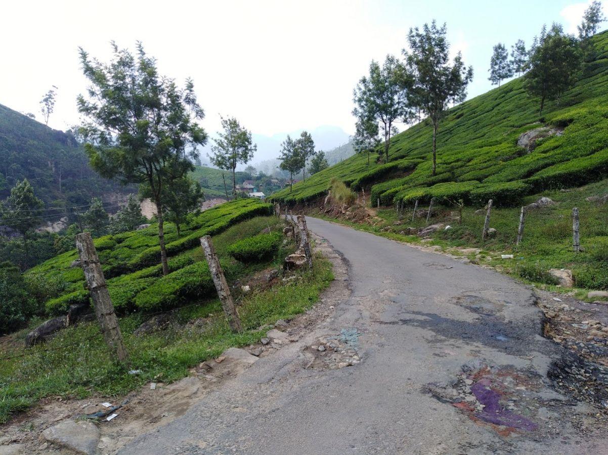 Pothamedu View Point Munnar