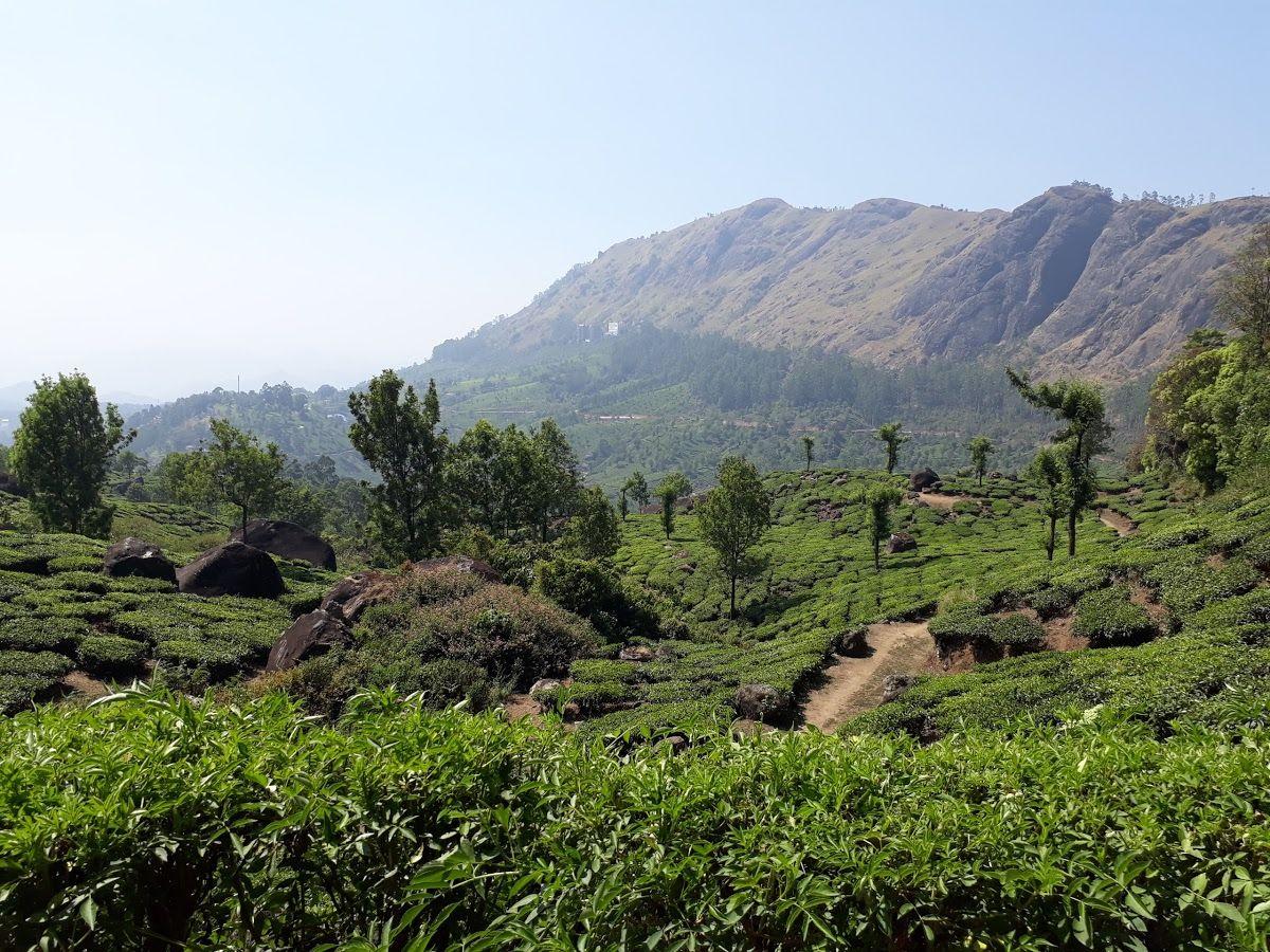 Pothamedu View Point Munnar