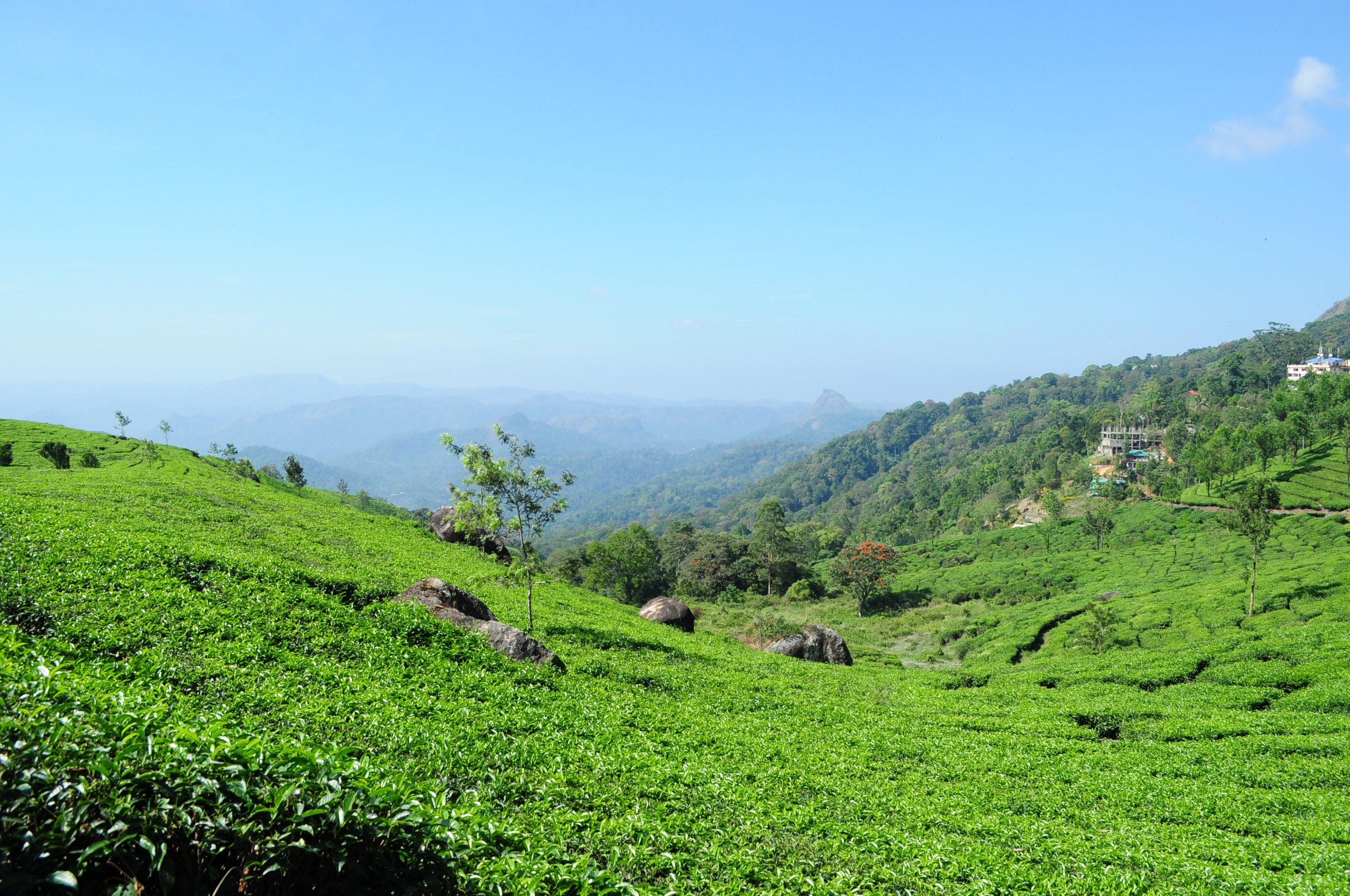 Munnar Hill Station Munnar