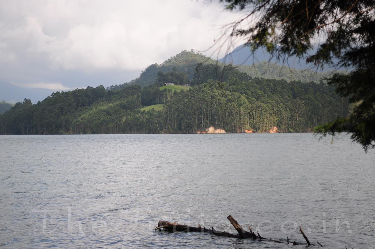 Mattupetty Dam Munnar