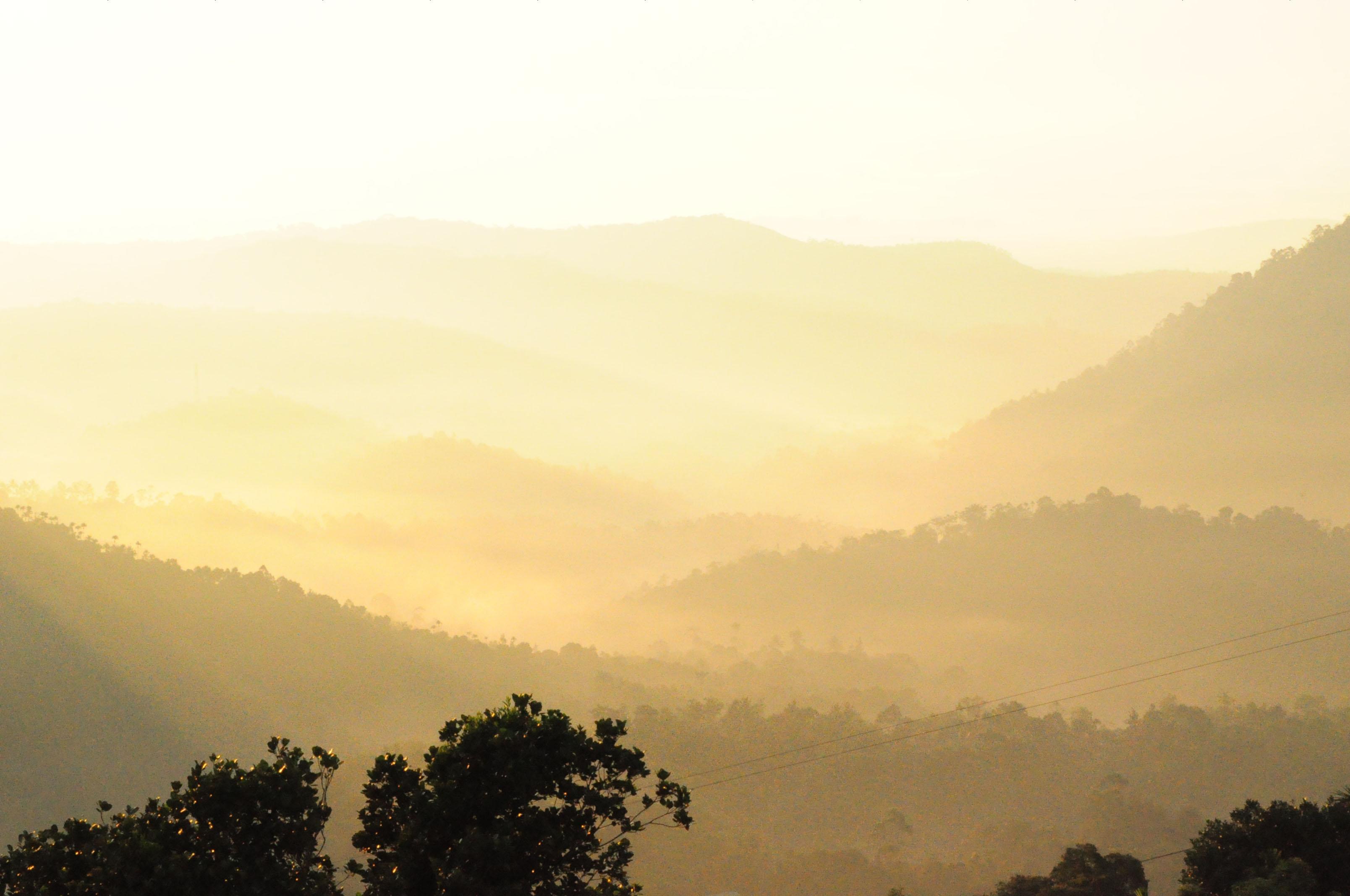 Munnar Hill Station Munnar