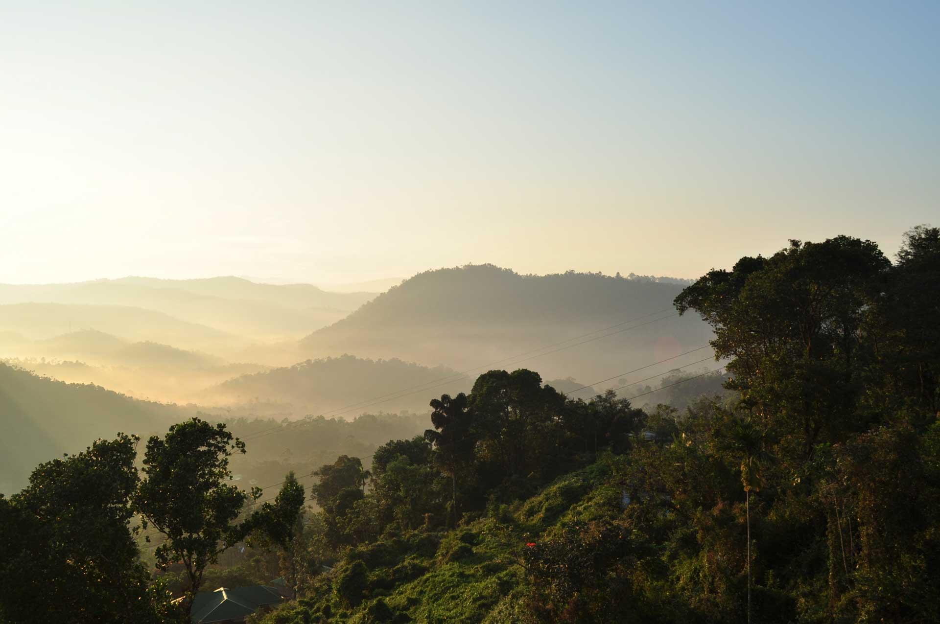 Thekkady Thekkady