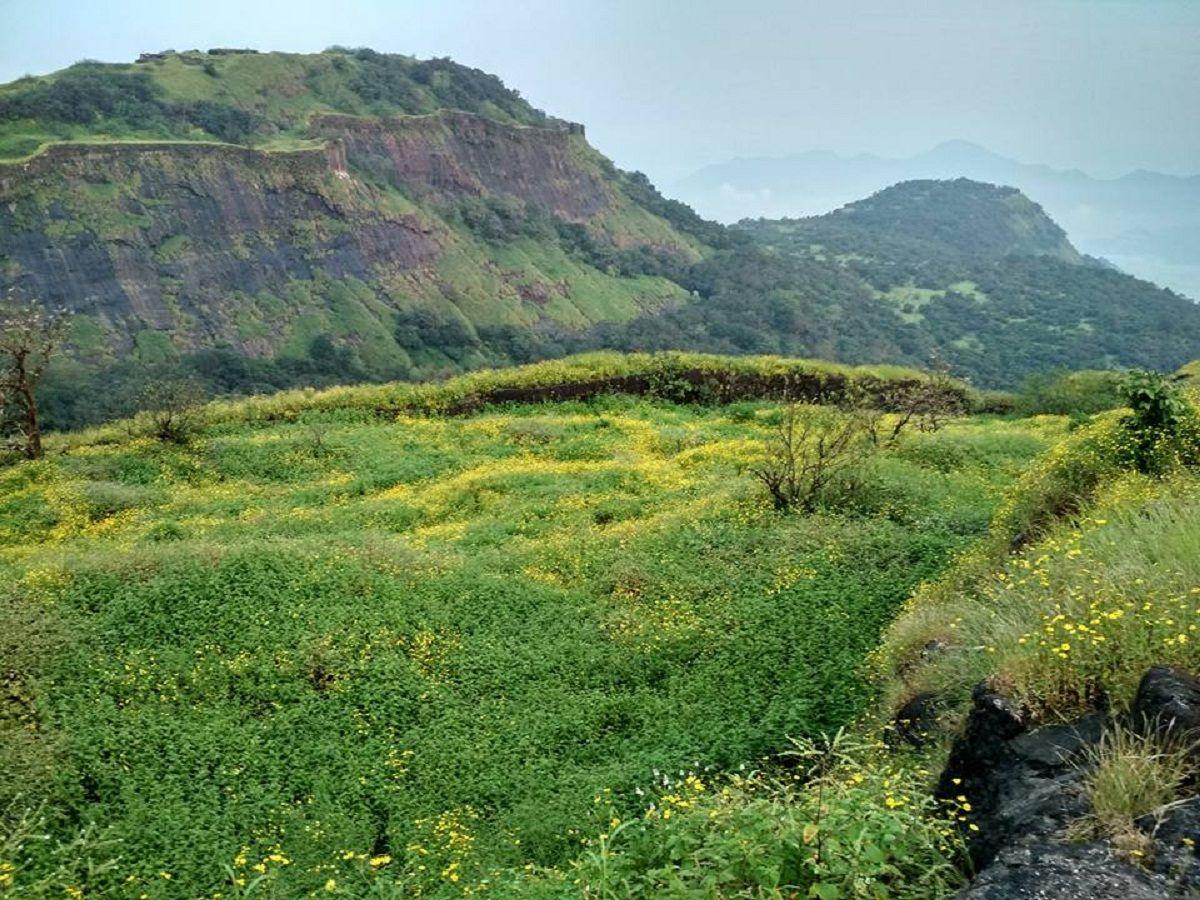 Rajmachi Fort Pune