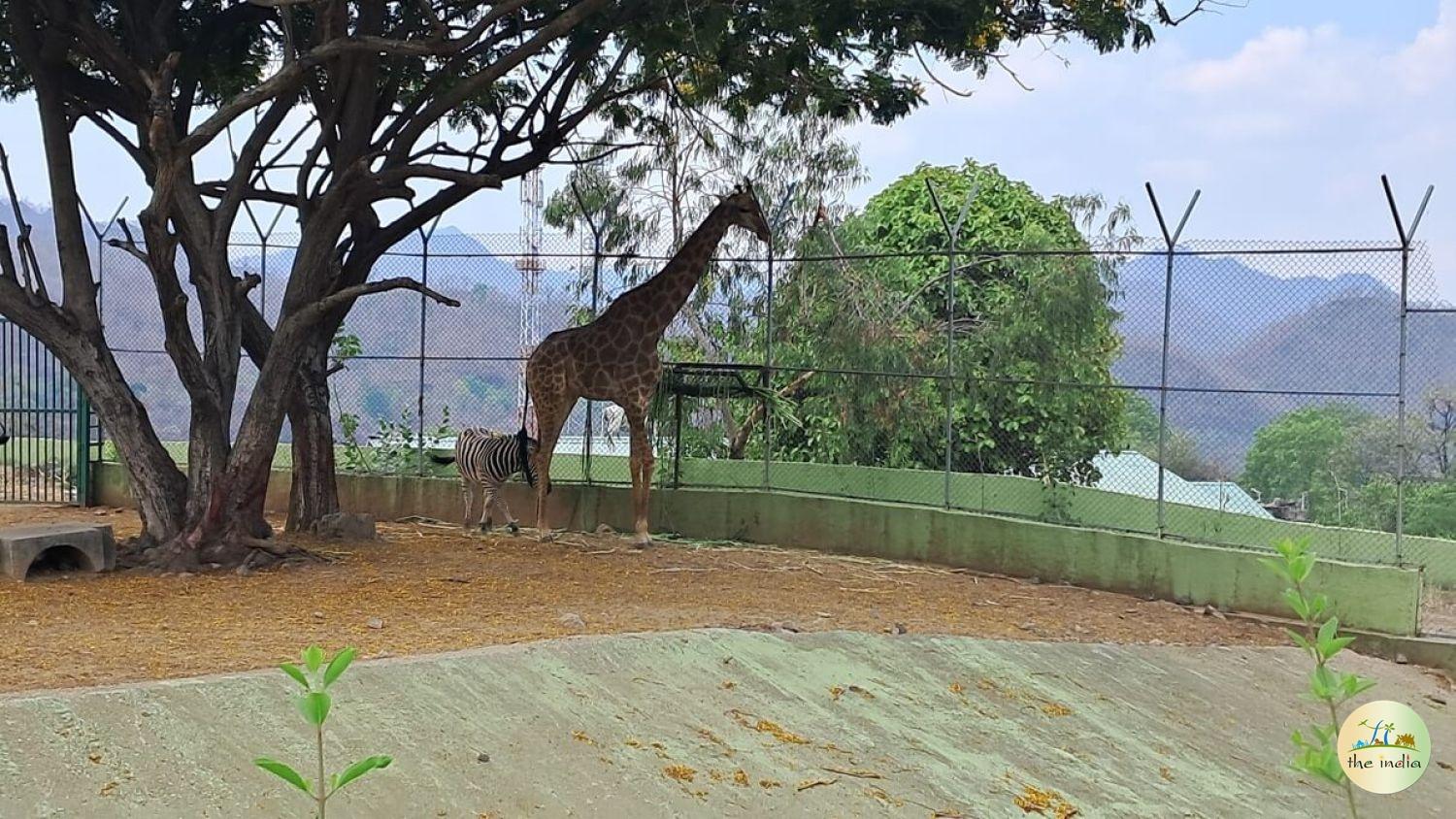Sardar Patel Zoological Park Statue of Unity