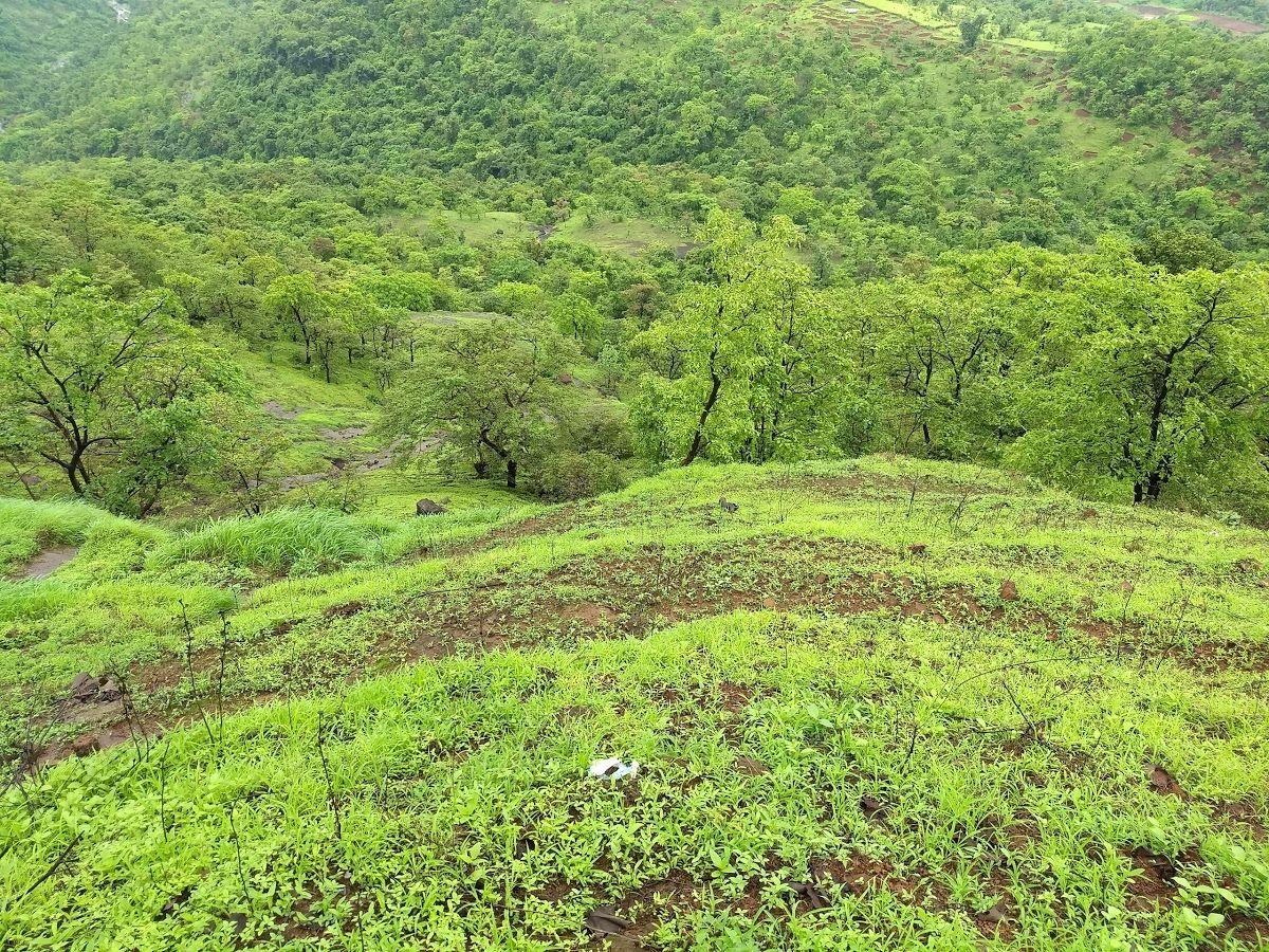 Sondai Fort Pune