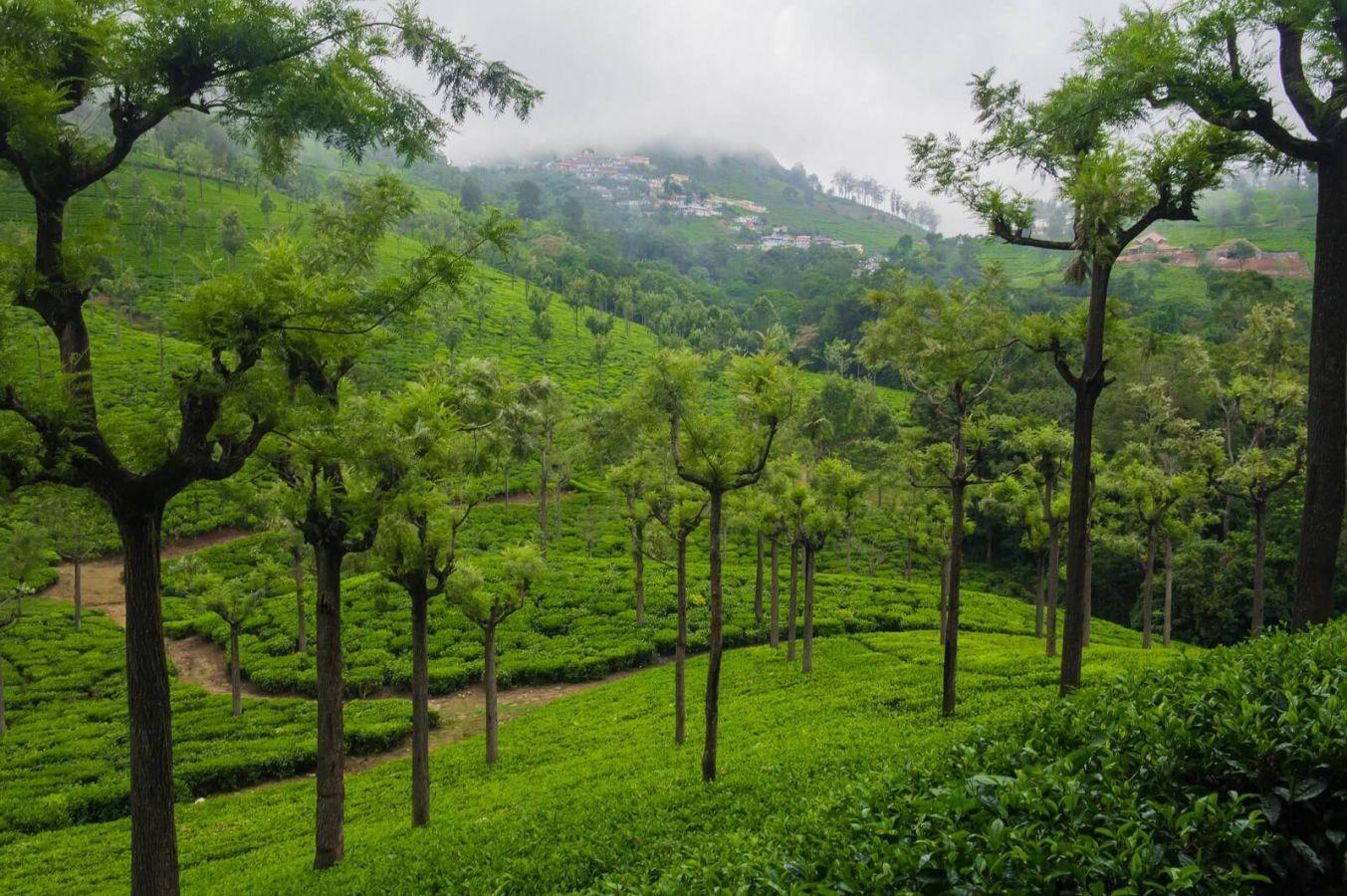 Coonoor Coimbatore