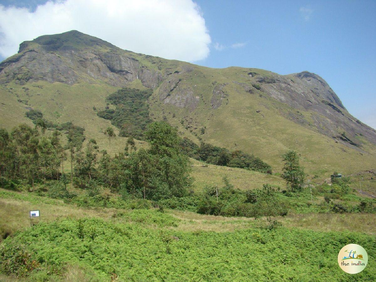 Anamudi peak Munnar