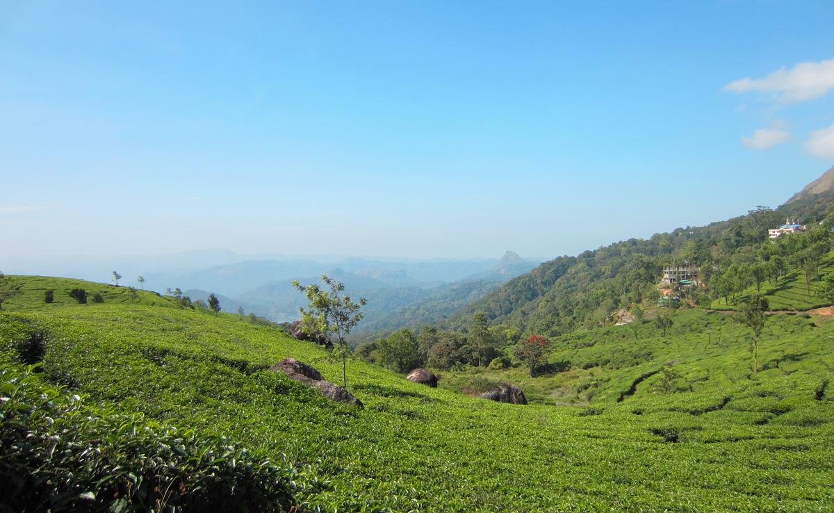 Munnar Hill Station Munnar