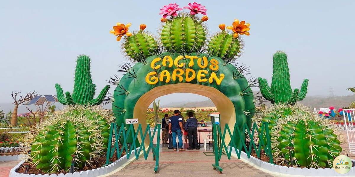 Cactus Garden