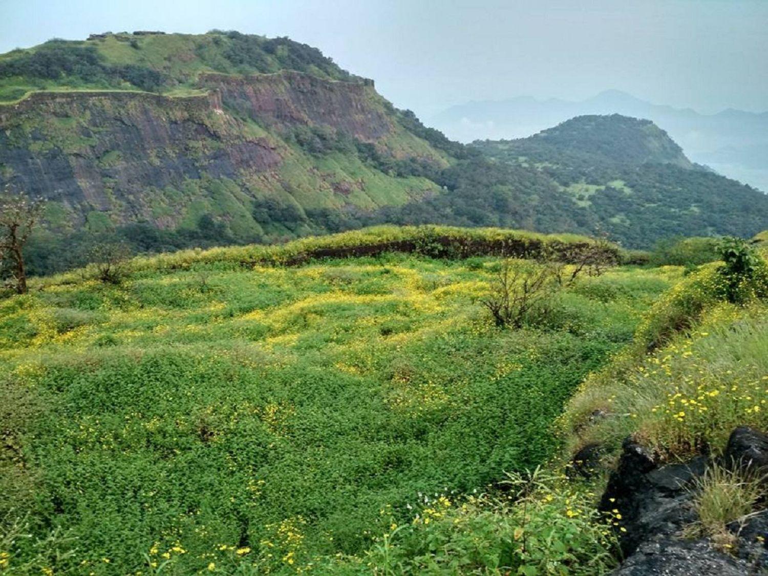 Rajmachi Fort