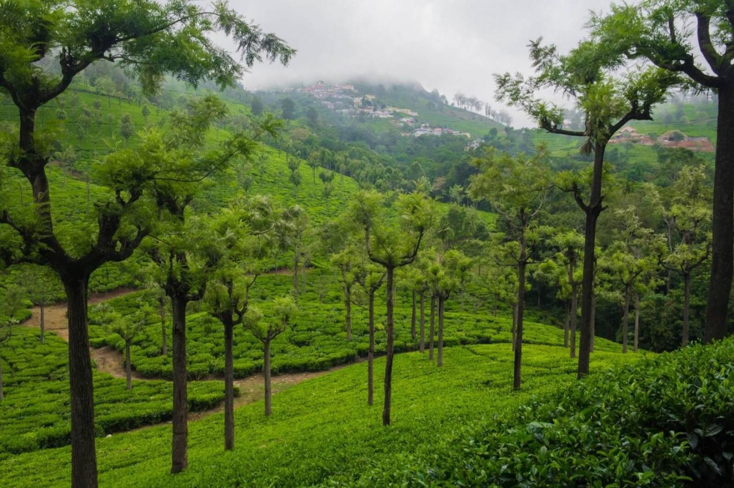 Coonoor