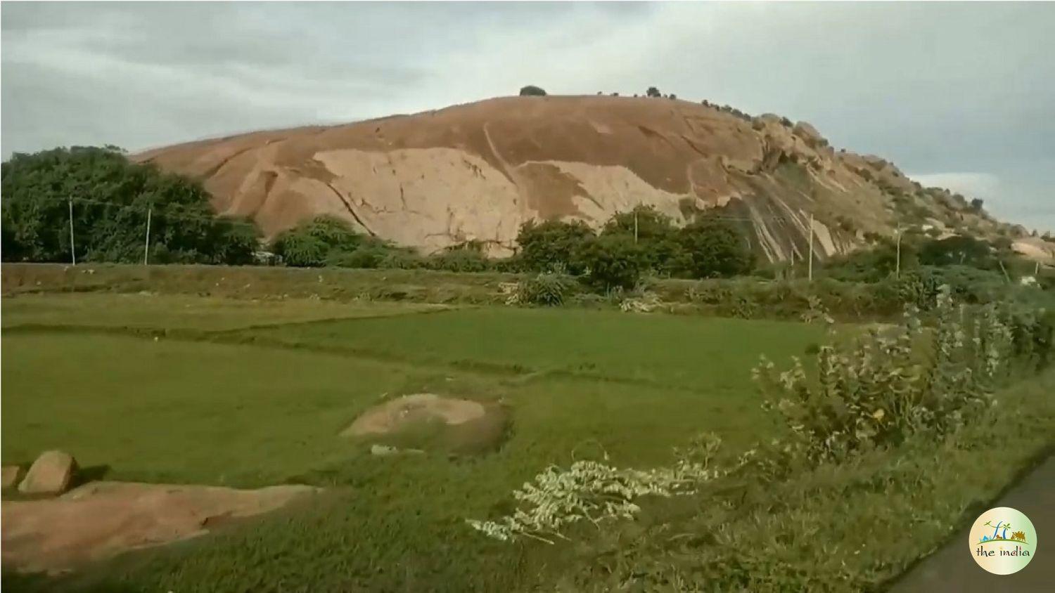 Samanr Hills