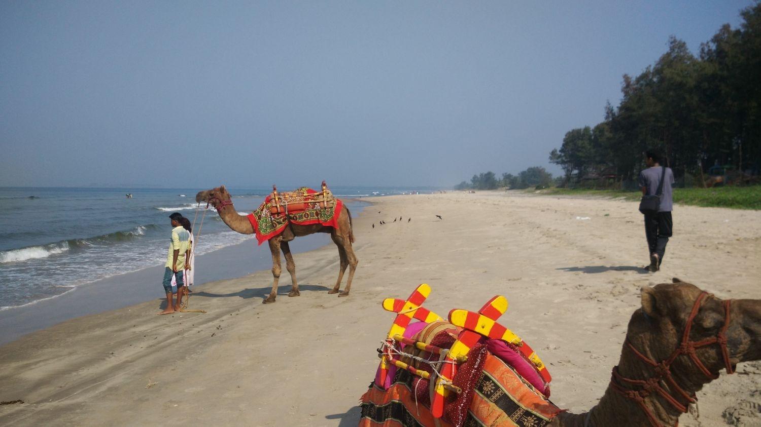 Tarkarli Beach