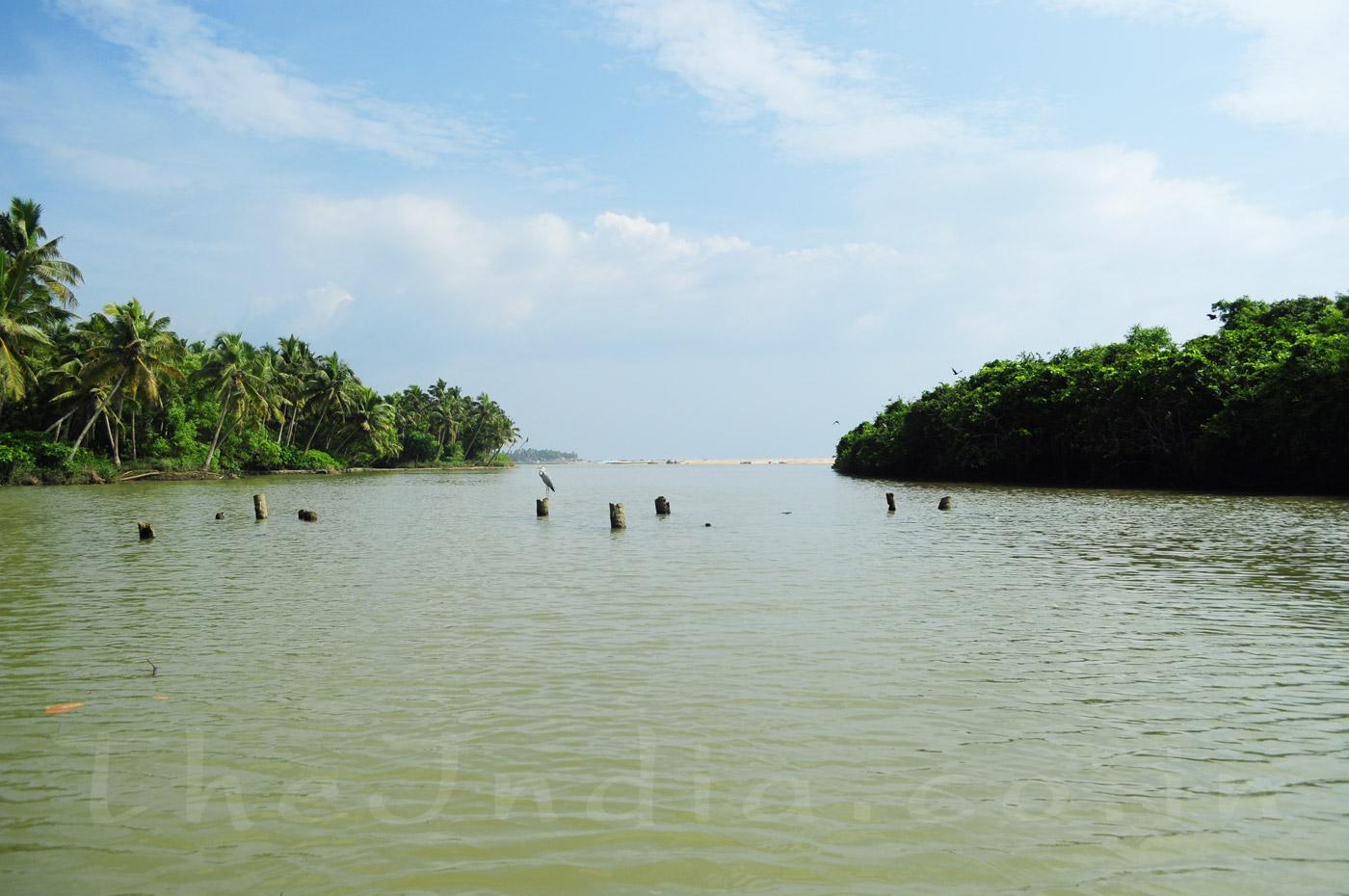 Poovar Island Trivandrum