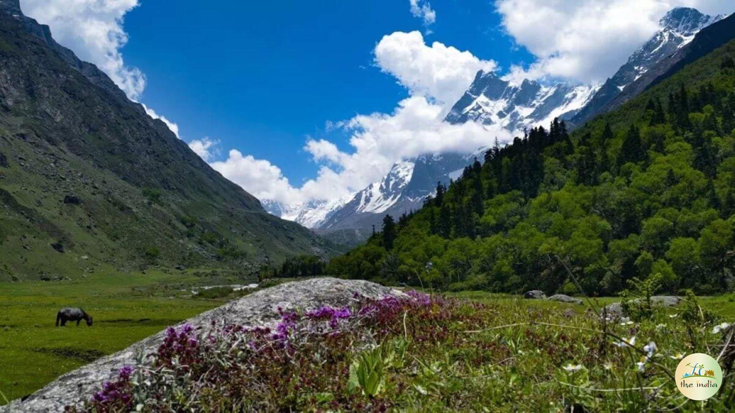 Har Ki Dun Valley Sankari Range