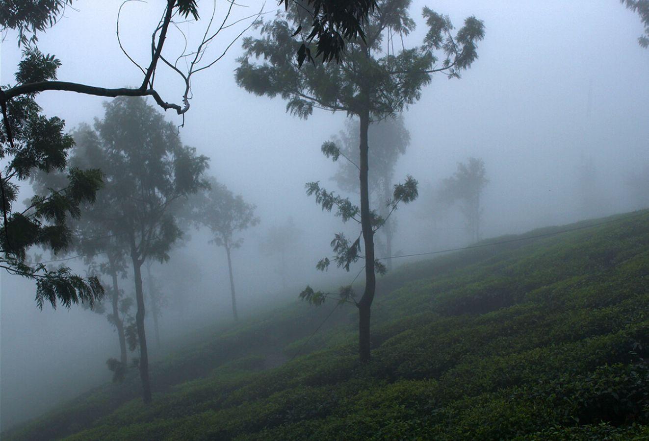 Munnar Hill Station Munnar