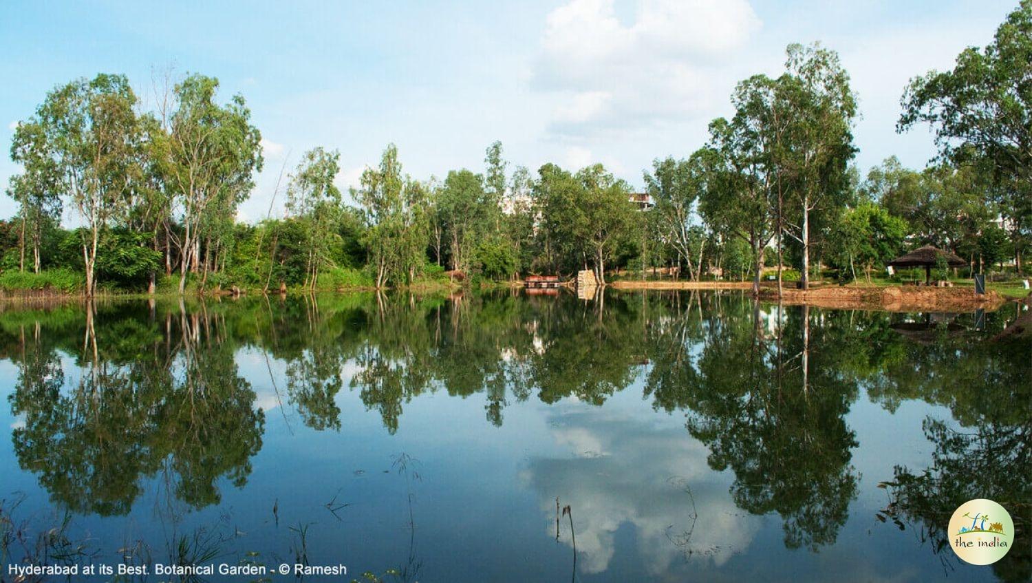 Hyderabad Botanical Garden Hyderabad