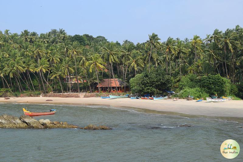 Backwaters of Kerala Kottayam