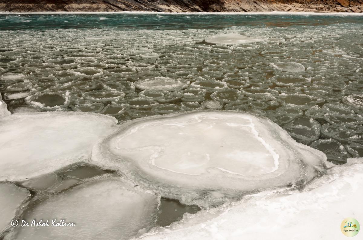 Chadar Trek Leh