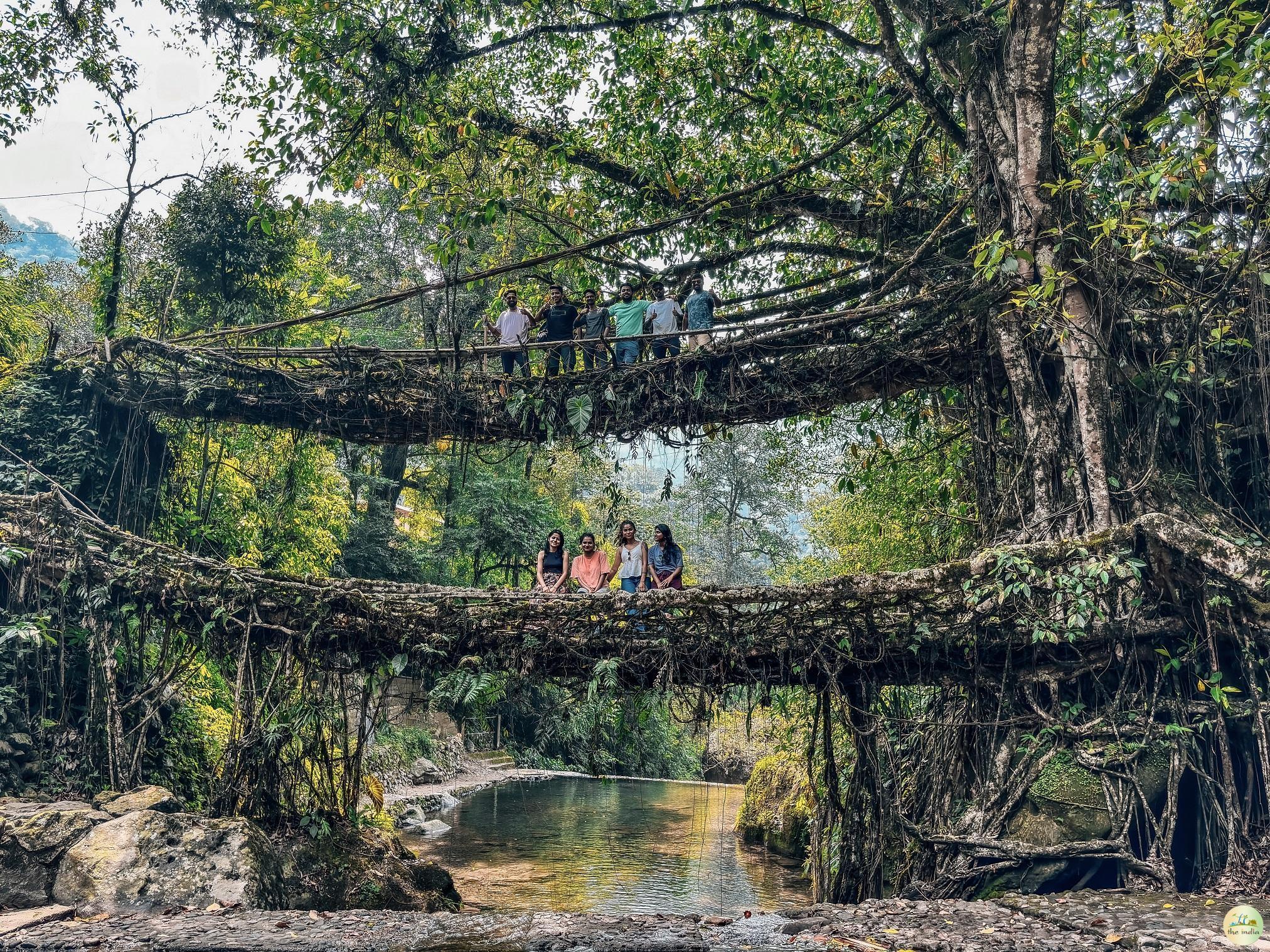 Double Decker Living Root Bridge Cherrapunji (Sohra)