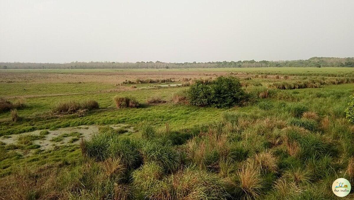 Dudhwa National Park Lucknow