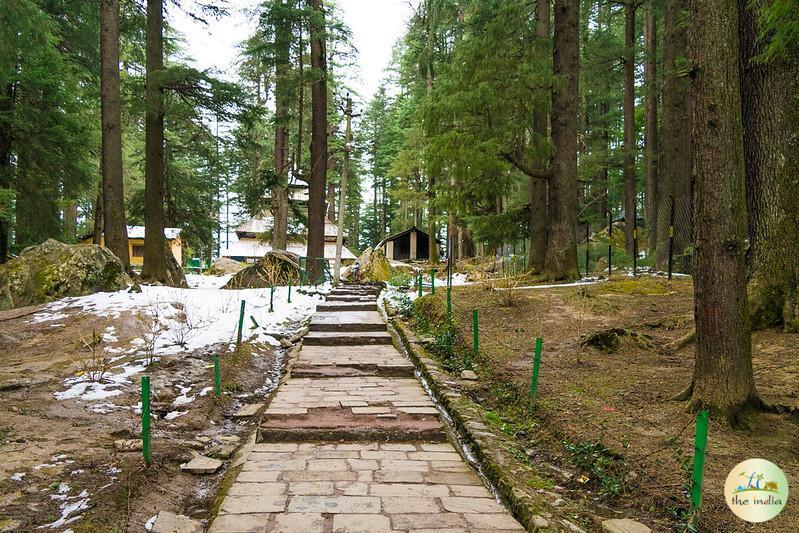 Hadimba Devi Temple Manali