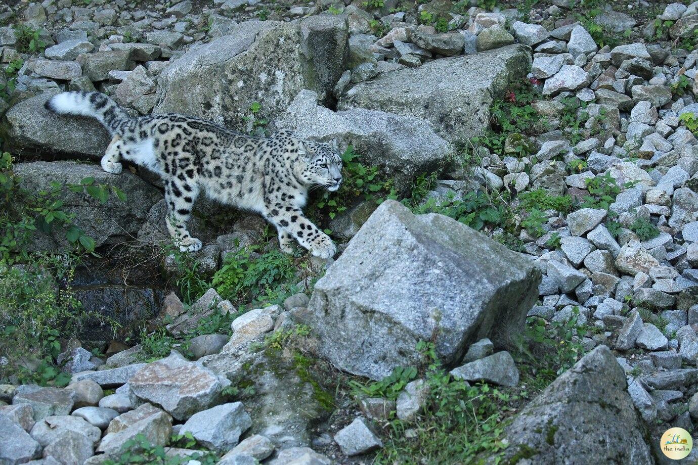 Hemis National Park Leh