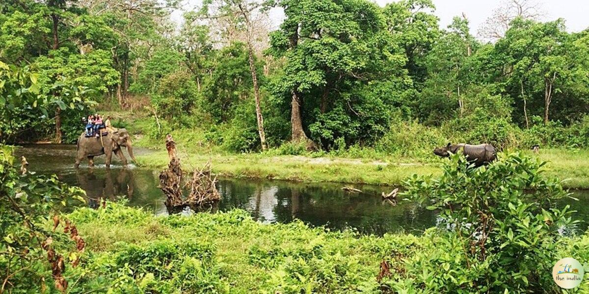 Jaldapara National Park Alipurduar