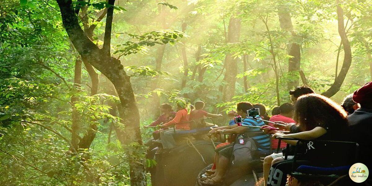 Jaldapara National Park Alipurduar