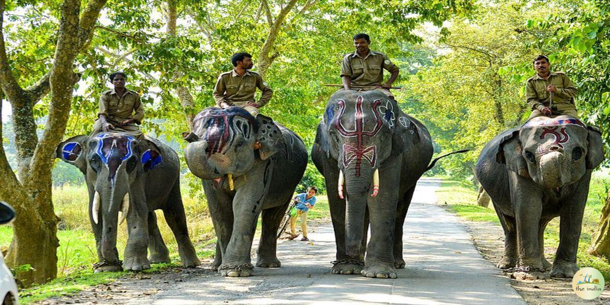 Kaziranga National Park Deopani