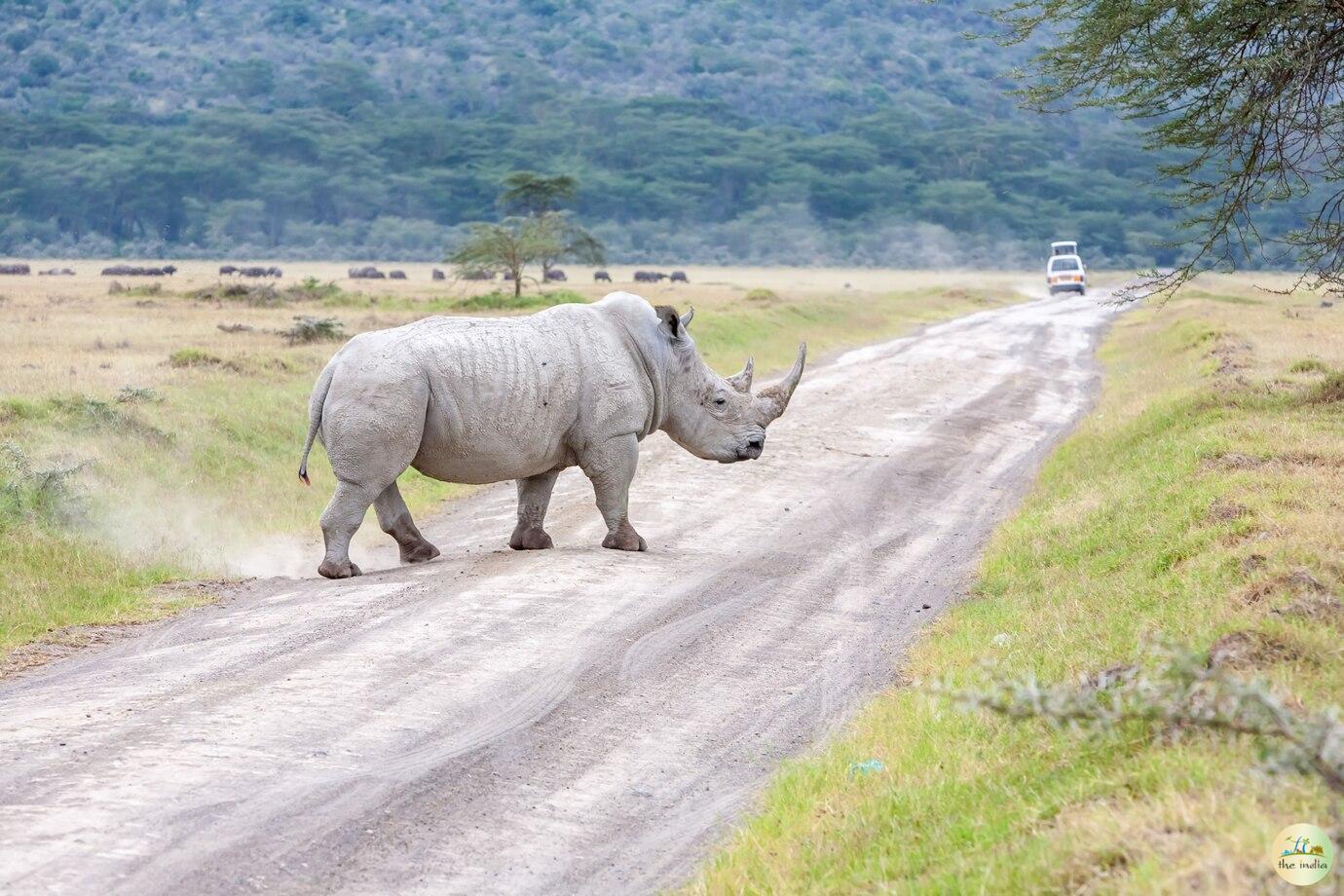 Kaziranga National Park Deopani