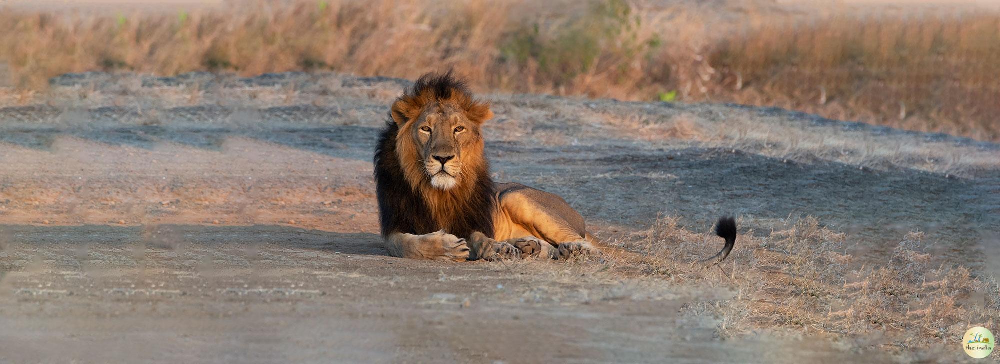 Mitiyala Wildlife Sanctuary Mitiyala