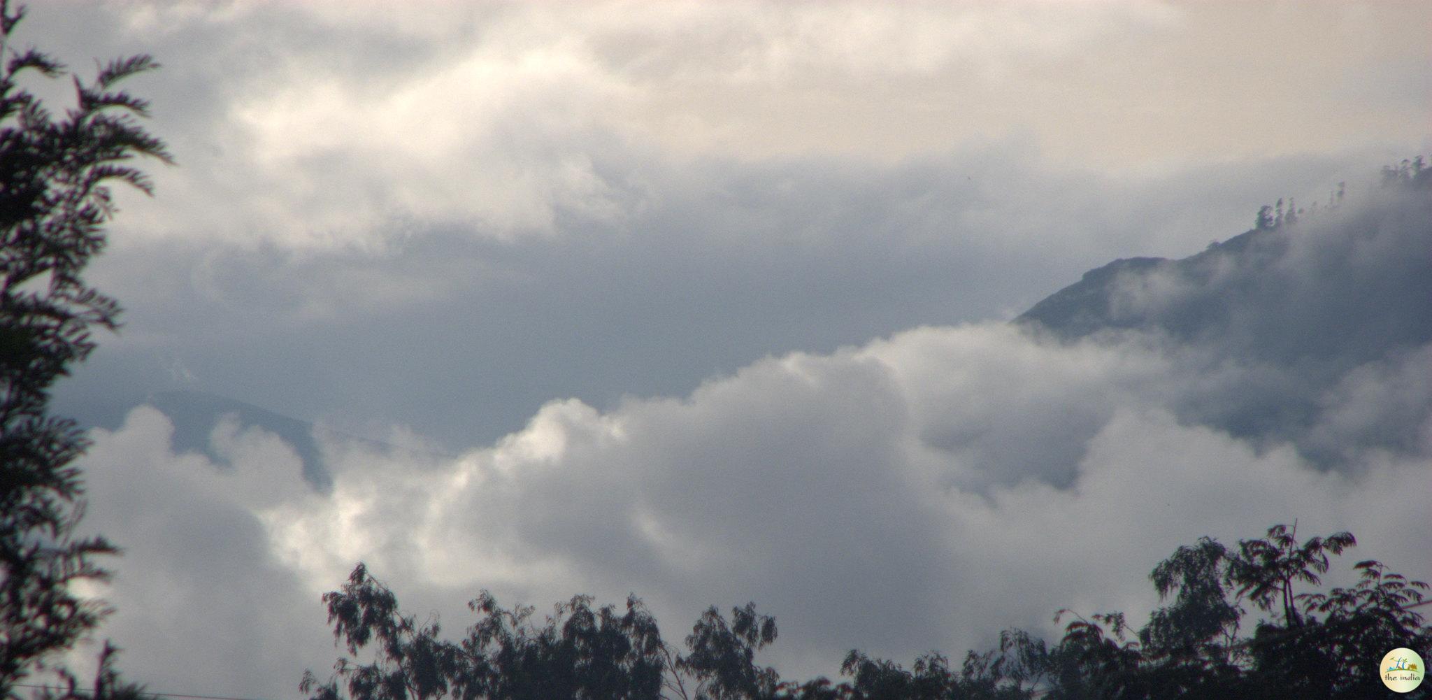 Nilgiri Hills Trek Ooty