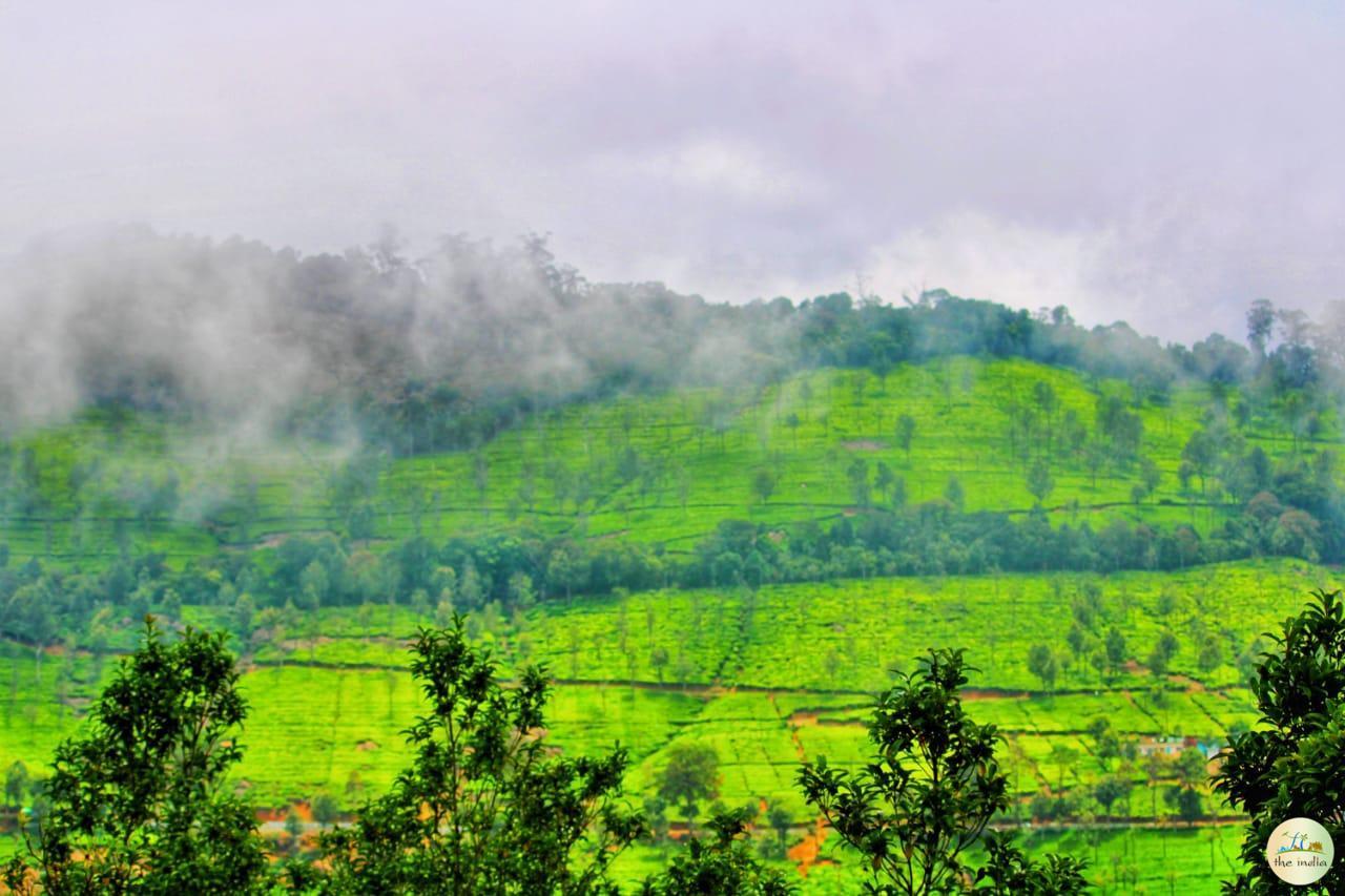 Ooty Coimbatore