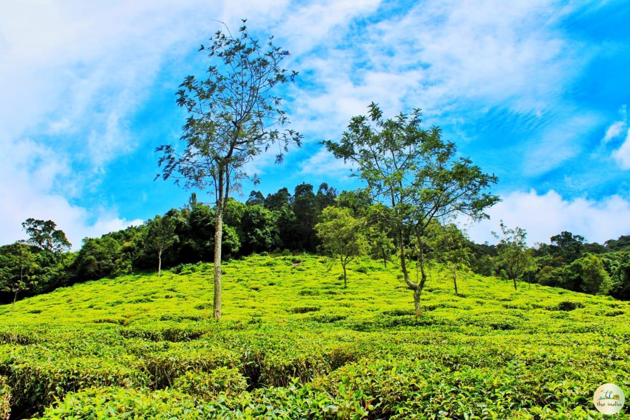 Ooty Coimbatore