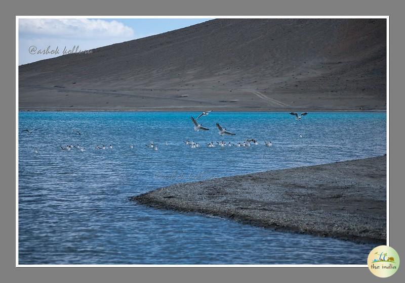 Pangong Tso (Pangong Lake) Leh