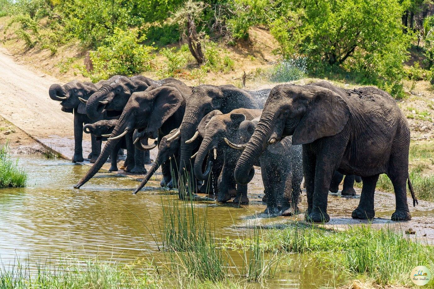 Periyar National Park Thekkady